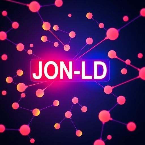 JSON-LD Implementation：打造结构化数据的最佳实践指南(图1)