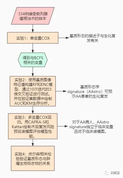 非裔美国人前列腺切除术后前列腺基质复发的计算机衍生基质特征的图像signature(图1) 非裔美国人前列腺切除术后前列腺基质复发的计算机衍生基质特征的图像signature(图1)