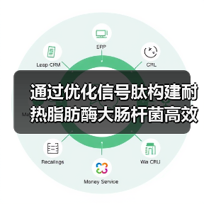 通过优化信号肽构建耐热脂肪酶大肠杆菌高效表达重组系统(图1)