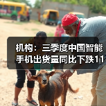机构：三季度中国智能手机出货量同比下跌11%(图3)