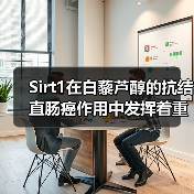 Sirt1在白藜芦醇的抗结直肠癌作用中发挥着重要作用(图2) Sirt1在白藜芦醇的抗结直肠癌作用中发挥着重要作用(图2)