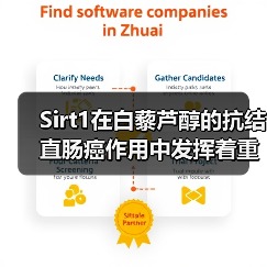 Sirt1在白藜芦醇的抗结直肠癌作用中发挥着重要作用(图3) Sirt1在白藜芦醇的抗结直肠癌作用中发挥着重要作用(图3)