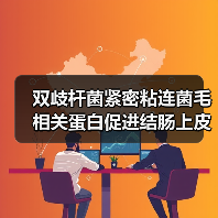 双歧杆菌紧密粘连菌毛相关蛋白促进结肠上皮增殖(图1) 双歧杆菌紧密粘连菌毛相关蛋白促进结肠上皮增殖(图1)