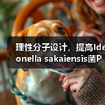 理性分子设计,提高Ideonella sakaiensis菌PET降解酶的热稳定性(图2) 理性分子设计,提高Ideonella sakaiensis菌PET降解酶的热稳定性(图2)