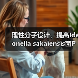 理性分子设计,提高Ideonella sakaiensis菌PET降解酶的热稳定性(图3) 理性分子设计,提高Ideonella sakaiensis菌PET降解酶的热稳定性(图3)