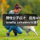 理性分子设计,提高Ideonella sakaiensis菌PET降解酶的热稳定性(图4) 理性分子设计,提高Ideonella sakaiensis菌PET降解酶的热稳定性(图4)