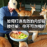 如何打造高效的内部链接框架:你不可忽视的链接策略与权重流动秘诀(图3) 如何打造高效的内部链接框架:你不可忽视的链接策略与权重流动秘诀(图3)