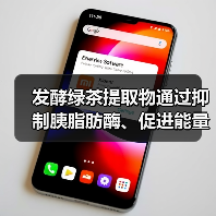 发酵绿茶提取物通过抑制胰脂肪酶、促进能量消耗而降低血脂(图4)