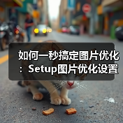 如何一秒搞定图片优化:Setup图片优化设置全攻略(图3) 如何一秒搞定图片优化:Setup图片优化设置全攻略(图3)