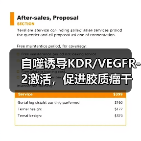 自噬诱导KDR/VEGFR-2激活，促进胶质瘤干细胞血管生成拟态形成(图2)