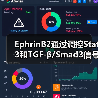 EphrinB2通过调控Stat3和TGF-β/Smad3信号的相互作用，调节心肌纤维化(图1)