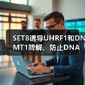 SET8诱导UHRF1和DNMT1降解、防止DNA过度甲基化(图2) SET8诱导UHRF1和DNMT1降解、防止DNA过度甲基化(图2)