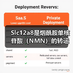 Slc12a8是烟酰胺单核苷酸（NMN）的转运蛋白(图2)