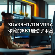 SUV39H1/DNMT3A依赖的RB1启动子甲基化会刺激PIN1表达及黑色素瘤发展(图1)