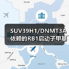 SUV39H1/DNMT3A依赖的RB1启动子甲基化会刺激PIN1表达及黑色素瘤发展(图2)