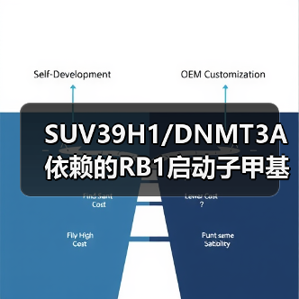 SUV39H1/DNMT3A依赖的RB1启动子甲基化会刺激PIN1表达及黑色素瘤发展(图4)