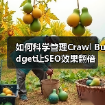 如何科学管理Crawl Budget让SEO效果翻倍(图4)