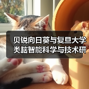 贝锐向日葵与复旦大学类脑智能科学与技术研究院达成战略合作(图3)