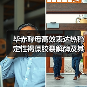 毕赤酵母高效表达热稳定性褐藻胶裂解酶及其在生产褐藻寡糖的应用(图2)