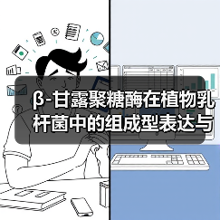 β-甘露聚糖酶在植物乳杆菌中的组成型表达与表面展示(图1) β-甘露聚糖酶在植物乳杆菌中的组成型表达与表面展示(图1)