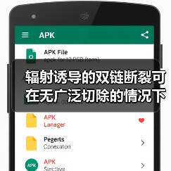 辐射诱导的双链断裂可在无广泛切除的情况下发生重组修复(图1) 辐射诱导的双链断裂可在无广泛切除的情况下发生重组修复(图1)