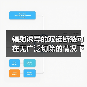 辐射诱导的双链断裂可在无广泛切除的情况下发生重组修复(图4) 辐射诱导的双链断裂可在无广泛切除的情况下发生重组修复(图4)