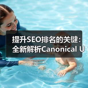 提升SEO排名的关键：全新解析Canonical URL实施技巧(图2)
