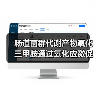 肠道菌群代谢产物氧化三甲胺通过氧化应激促进内皮细胞衰老及血管老化(图2)