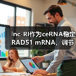 lnc-RI作为ceRNA稳定RAD51 mRNA,调节DNA双链断裂的同源重组修复(图1) lnc-RI作为ceRNA稳定RAD51 mRNA,调节DNA双链断裂的同源重组修复(图1)