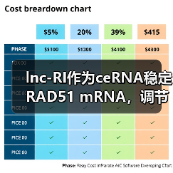 lnc-RI作为ceRNA稳定RAD51 mRNA,调节DNA双链断裂的同源重组修复(图3) lnc-RI作为ceRNA稳定RAD51 mRNA,调节DNA双链断裂的同源重组修复(图3)
