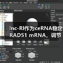 lnc-RI作为ceRNA稳定RAD51 mRNA,调节DNA双链断裂的同源重组修复(图4) lnc-RI作为ceRNA稳定RAD51 mRNA,调节DNA双链断裂的同源重组修复(图4)