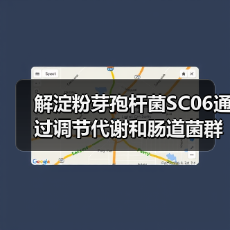 解淀粉芽孢杆菌SC06通过调节代谢和肠道菌群，保护宿主免受高脂饮食引起的肥胖和肝损伤(图1)