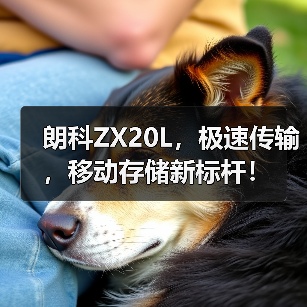 朗科ZX20L,极速传输,移动存储新标杆!(图1) 朗科ZX20L,极速传输,移动存储新标杆!(图1)