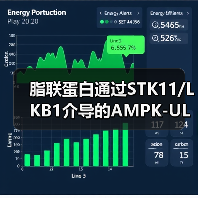 脂联蛋白通过STK11/LKB1介导的AMPK-ULK1通路诱导乳腺癌细胞自噬(图2) 脂联蛋白通过STK11/LKB1介导的AMPK-ULK1通路诱导乳腺癌细胞自噬(图2)
