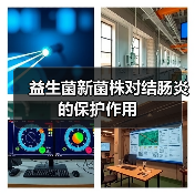 益生菌新菌株对结肠炎的保护作用(图2) 益生菌新菌株对结肠炎的保护作用(图2)