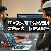 ERα缺失可下调黏着斑蛋白表达，促进乳腺癌细胞变形虫样迁移(图2)