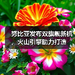 努比亚发布双旗舰新机,火山引擎助力打造“流畅+智慧”新标杆(图2) 努比亚发布双旗舰新机,火山引擎助力打造“流畅+智慧”新标杆(图2)