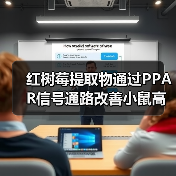 红树莓提取物通过PPAR信号通路改善小鼠高脂血症(图3) 红树莓提取物通过PPAR信号通路改善小鼠高脂血症(图3)