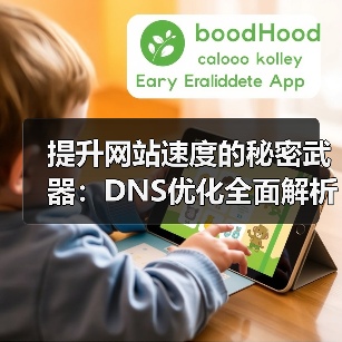 提升网站速度的秘密武器：DNS优化全面解析 - 启芯极客视界