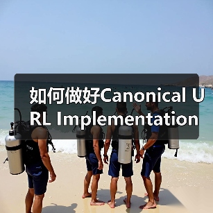 如何做好Canonical URL Implementation,解决重复内容与权重集中的秘诀(图3) 如何做好Canonical URL Implementation,解决重复内容与权重集中的秘诀(图3)