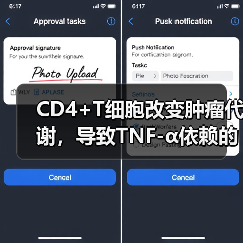 CD4+T细胞改变肿瘤代谢,导致TNF-α依赖的氧化应激增强及肿瘤细胞死亡(图4) CD4+T细胞改变肿瘤代谢,导致TNF-α依赖的氧化应激增强及肿瘤细胞死亡(图4)