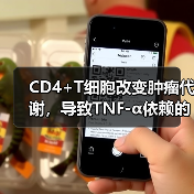 CD4+T细胞改变肿瘤代谢,导致TNF-α依赖的氧化应激增强及肿瘤细胞死亡(图3) CD4+T细胞改变肿瘤代谢,导致TNF-α依赖的氧化应激增强及肿瘤细胞死亡(图3)