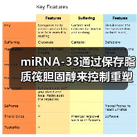 miRNA-33通过保存脂质筏胆固醇来控制重塑心脏的适应性纤维化反应(图1) miRNA-33通过保存脂质筏胆固醇来控制重塑心脏的适应性纤维化反应(图1)