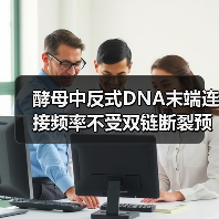 酵母中反式DNA末端连接频率不受双链断裂预损伤空间邻近性的影响(图4) 酵母中反式DNA末端连接频率不受双链断裂预损伤空间邻近性的影响(图4)