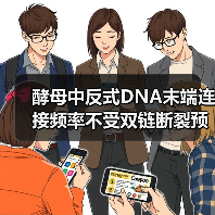 酵母中反式DNA末端连接频率不受双链断裂预损伤空间邻近性的影响(图3) 酵母中反式DNA末端连接频率不受双链断裂预损伤空间邻近性的影响(图3)
