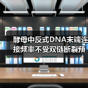 酵母中反式DNA末端连接频率不受双链断裂预损伤空间邻近性的影响(图2) 酵母中反式DNA末端连接频率不受双链断裂预损伤空间邻近性的影响(图2)