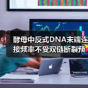 酵母中反式DNA末端连接频率不受双链断裂预损伤空间邻近性的影响(图1) 酵母中反式DNA末端连接频率不受双链断裂预损伤空间邻近性的影响(图1)