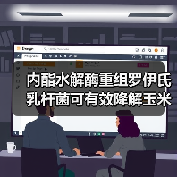内酯水解酶重组罗伊氏乳杆菌可有效降解玉米赤霉烯酮毒素(图1) 内酯水解酶重组罗伊氏乳杆菌可有效降解玉米赤霉烯酮毒素(图1)