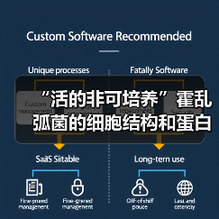 “活的非可培养”霍乱弧菌的细胞结构和蛋白质组研究(图4) “活的非可培养”霍乱弧菌的细胞结构和蛋白质组研究(图4)