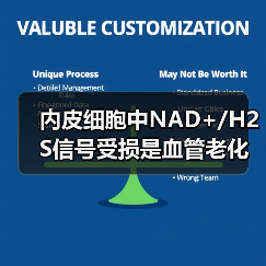 内皮细胞中NAD+/H2S信号受损是血管老化的可逆性原因(图4) 内皮细胞中NAD+/H2S信号受损是血管老化的可逆性原因(图4)
